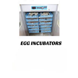 528 eggs incubators with automatic roller ac/dc powered