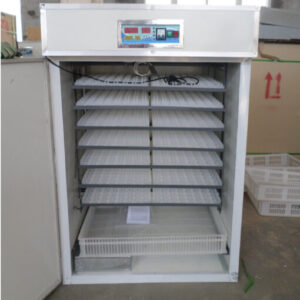 528 Eggs Incubator Single function AC/DC powered