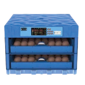 128 Eggs Electricity AC/DC Auto Incubator